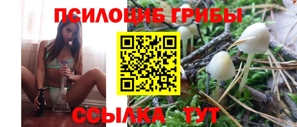 Псилоцибиновые грибы Psilocybe Костомукша