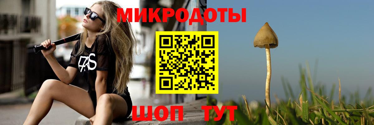 Костомукша  Галлюциногенные грибы GOLDEN TEACHER  Вход с VPN 